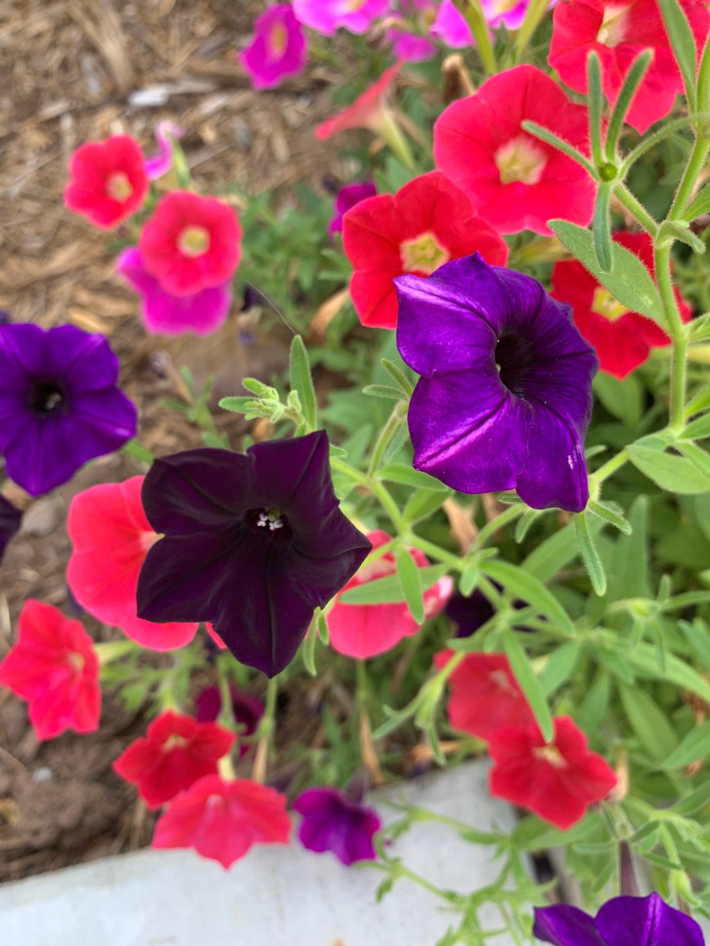 Rain, Rain, go&nbsp;away