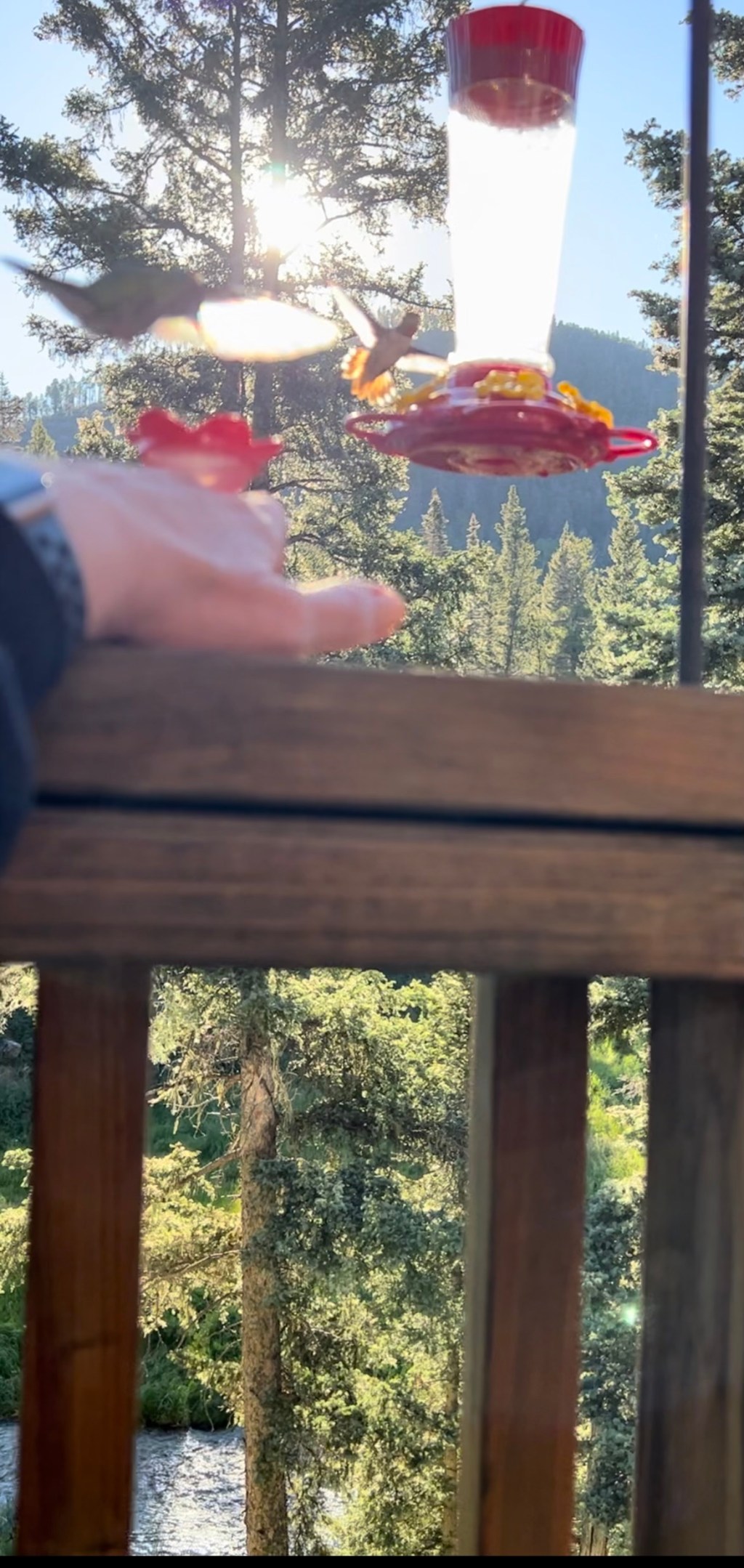 I Know There Is a God