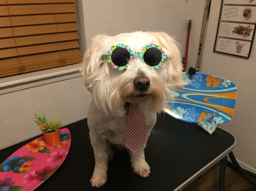 The Sink Is Not His Water Fountain